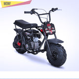 RiiRoo 80cc Petrol Mini Bike