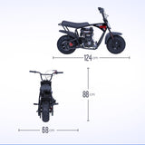 RiiRoo 80cc Petrol Mini Bike