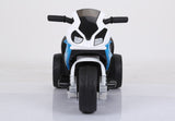 RiiRoo BMW S1000RR Trike - 6V 2WD