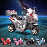 RiiRoo Electric Motorbike Trike